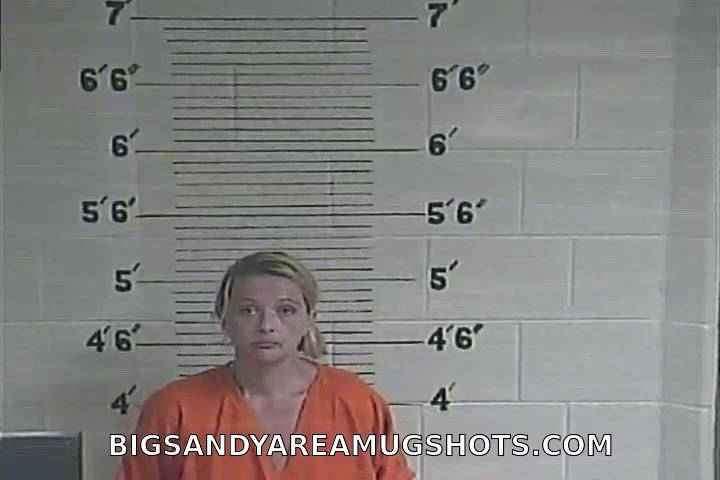 Booking photo