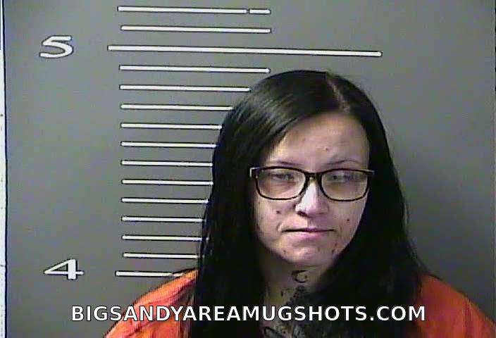 Booking photo