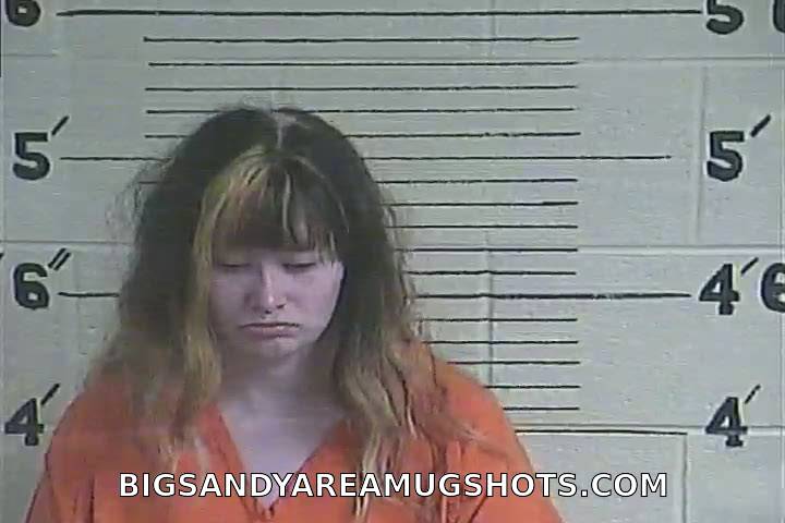 Booking photo