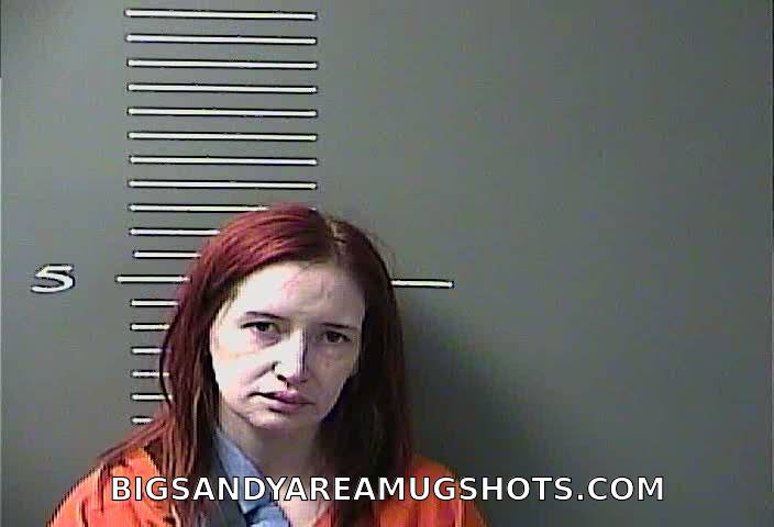 Booking photo