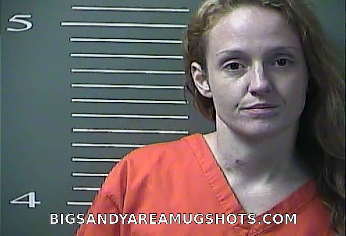 Booking photo