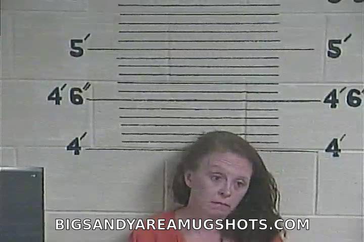 Booking photo