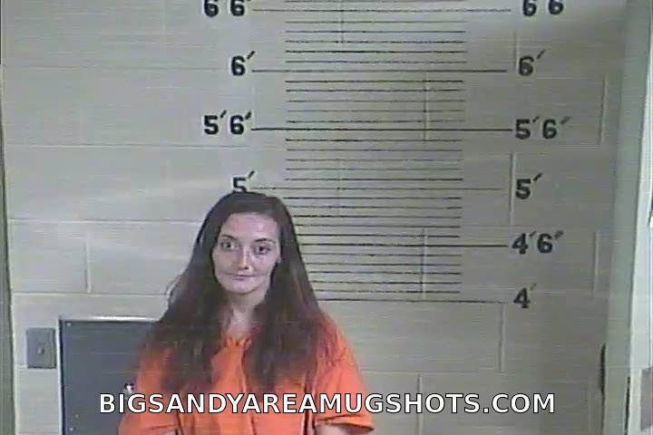 Booking photo