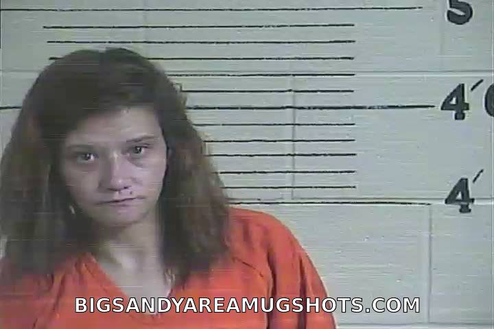 Booking photo