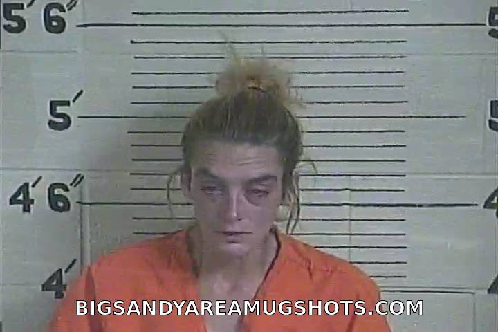 Booking photo