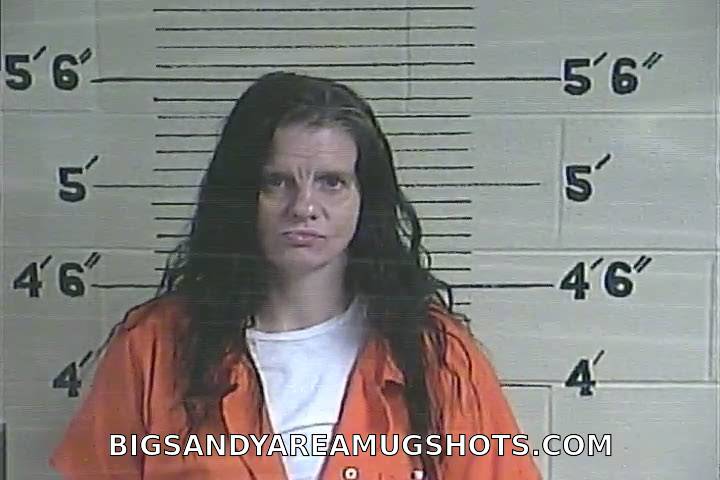 Booking photo