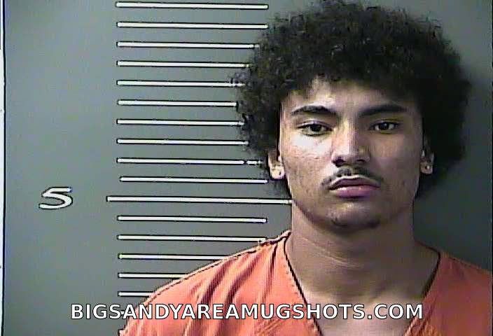 Booking photo