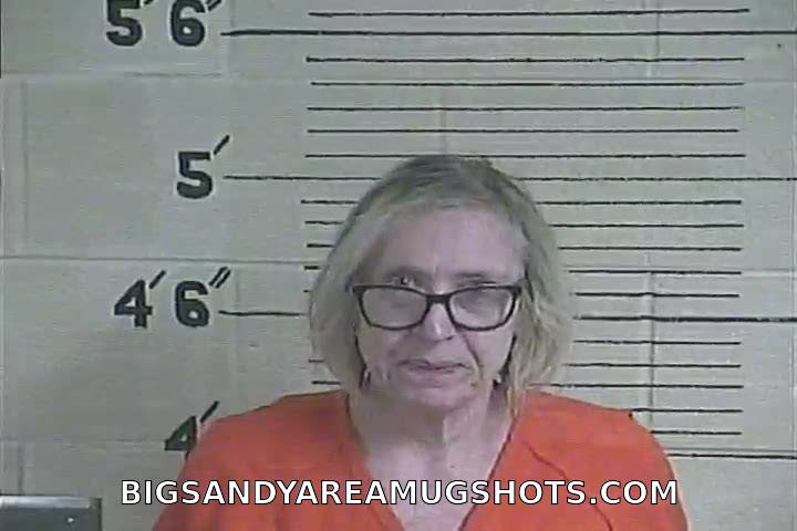 Booking photo