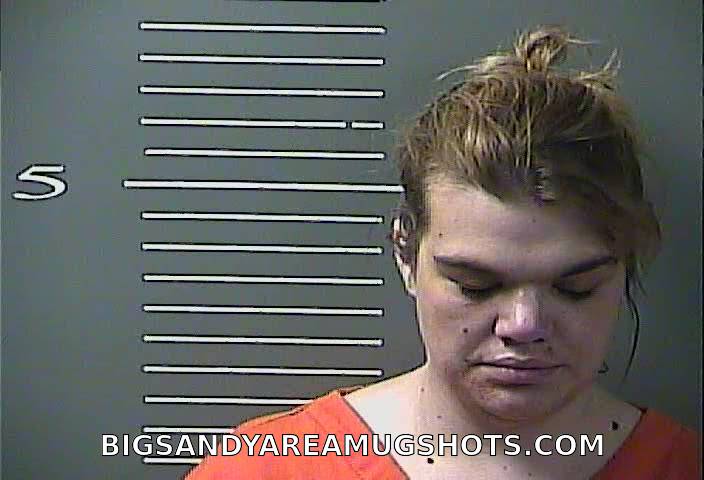 Booking photo