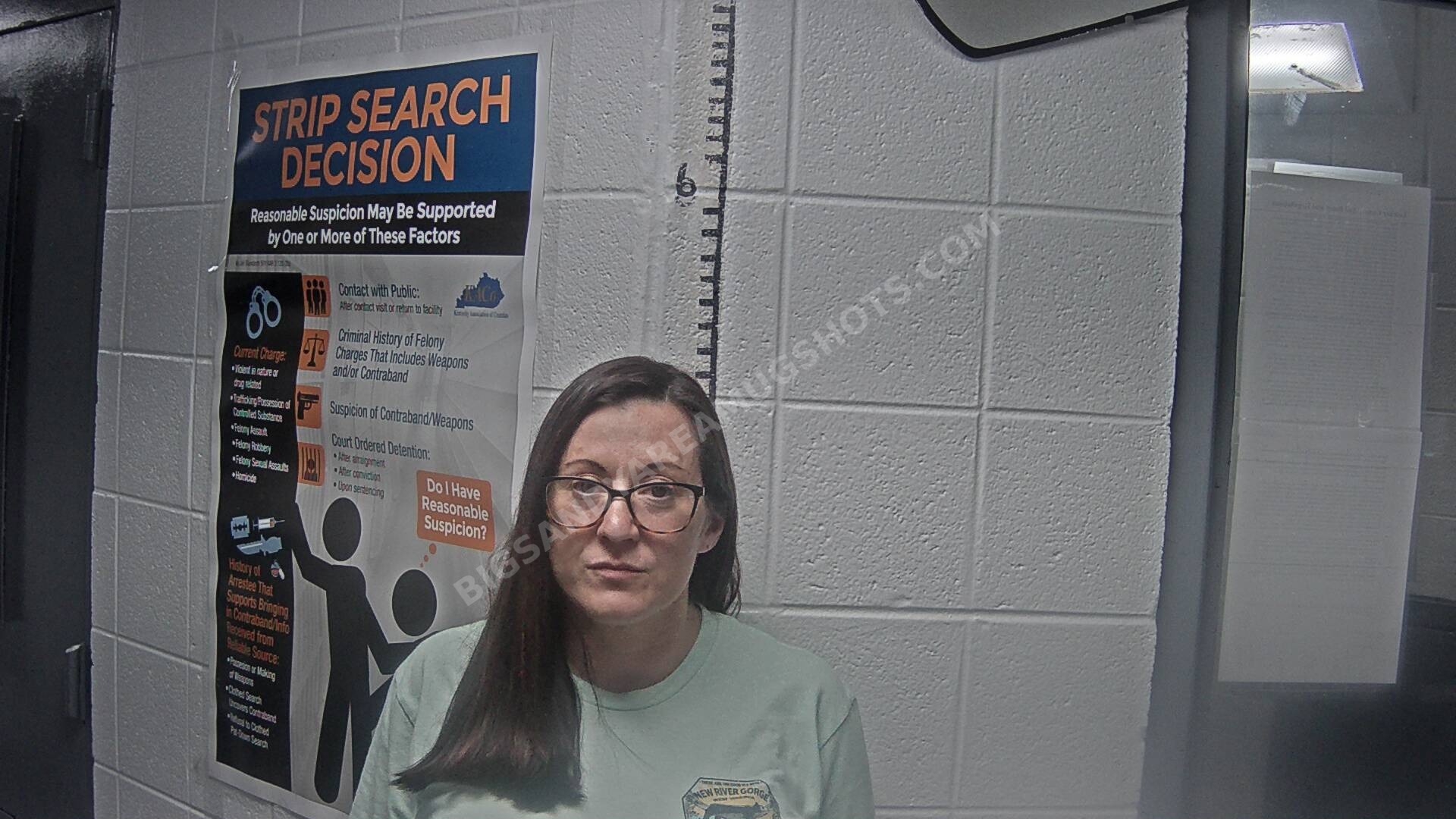 Amber Marie Caudill arrest photo