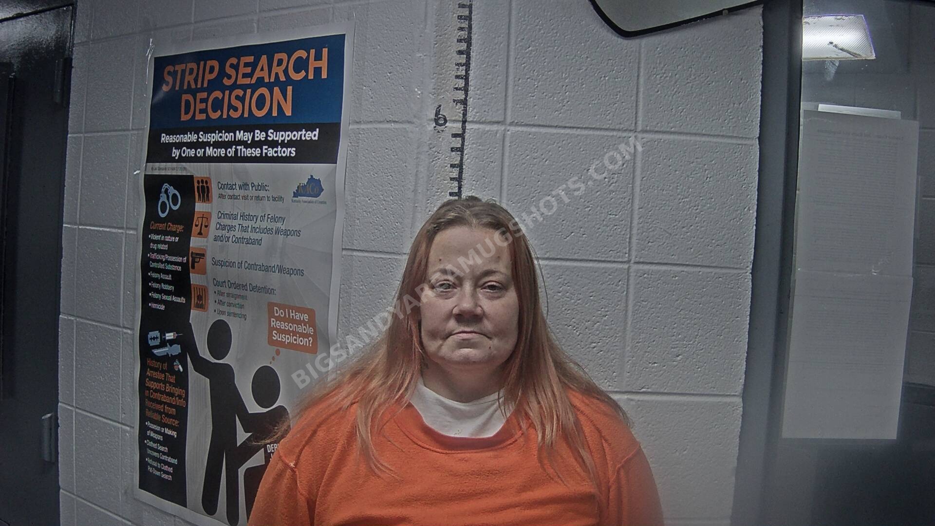 Tara Velasco arrest photo