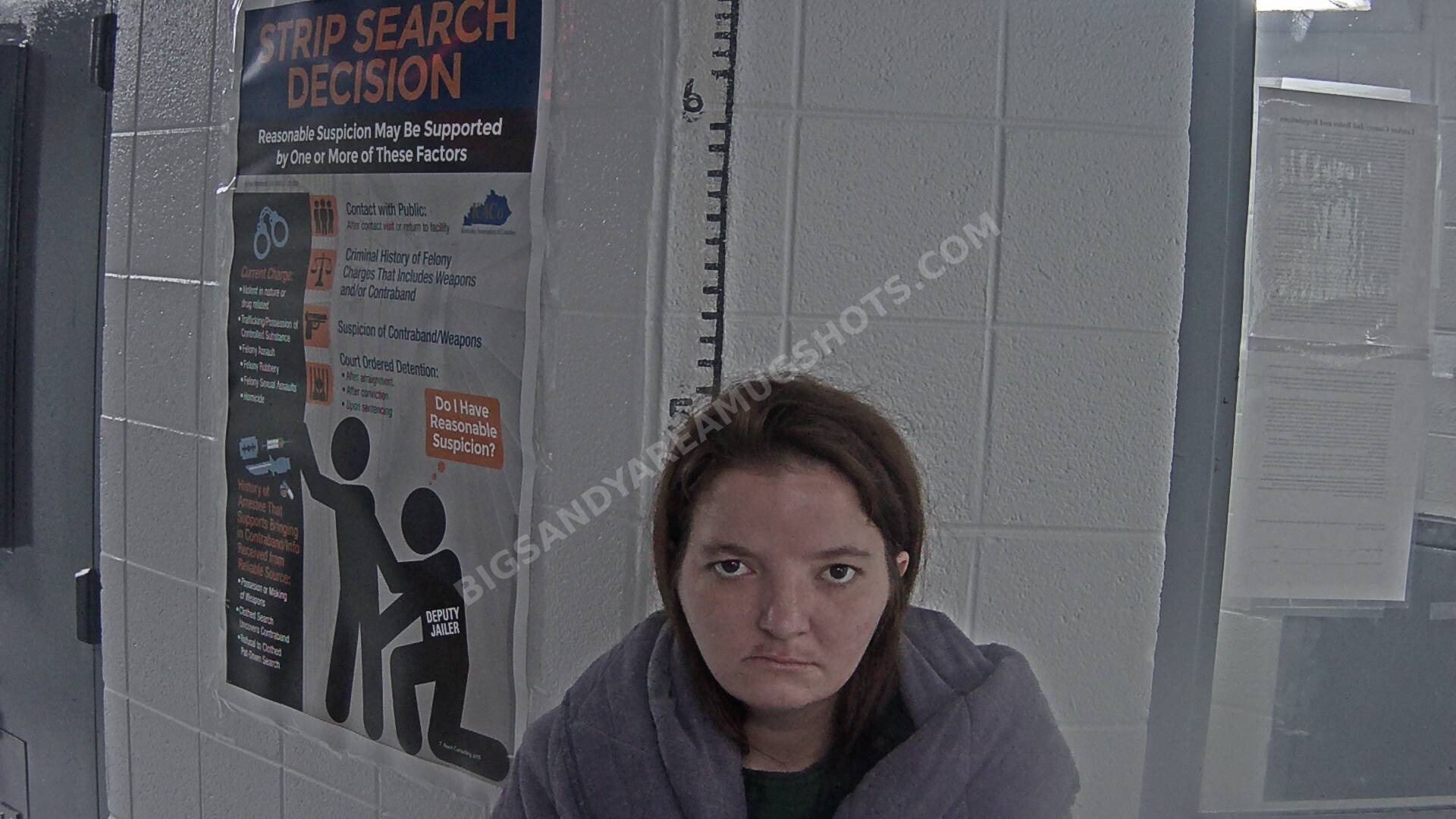 Rachel Luetta Heiston arrest photo