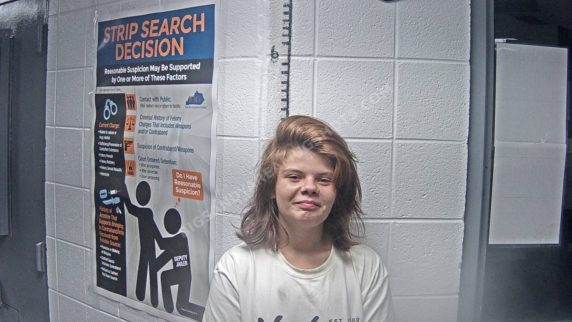 Destiny Rose Caudill arrest photo