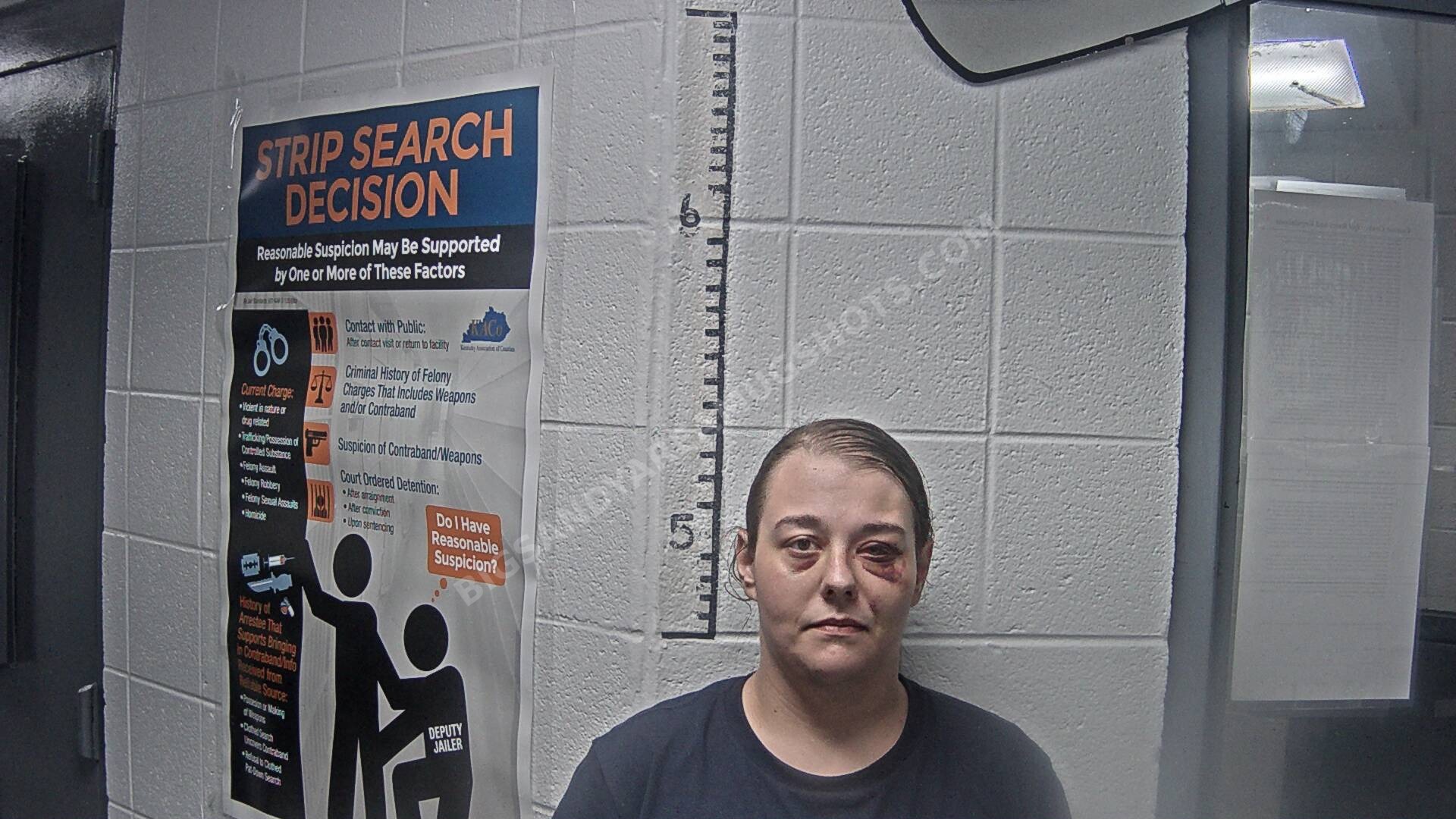 Breanna L Mullins arrest photo