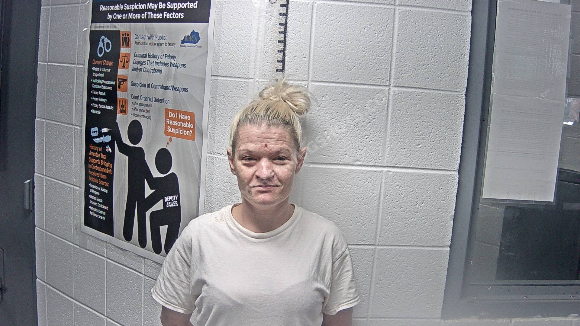 Holly Lamb arrest photo