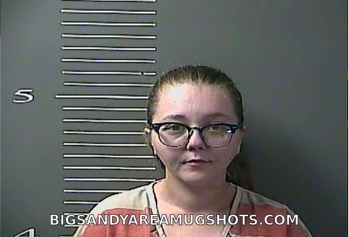 Booking photo