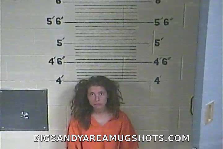 Booking photo