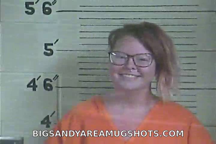 Booking photo