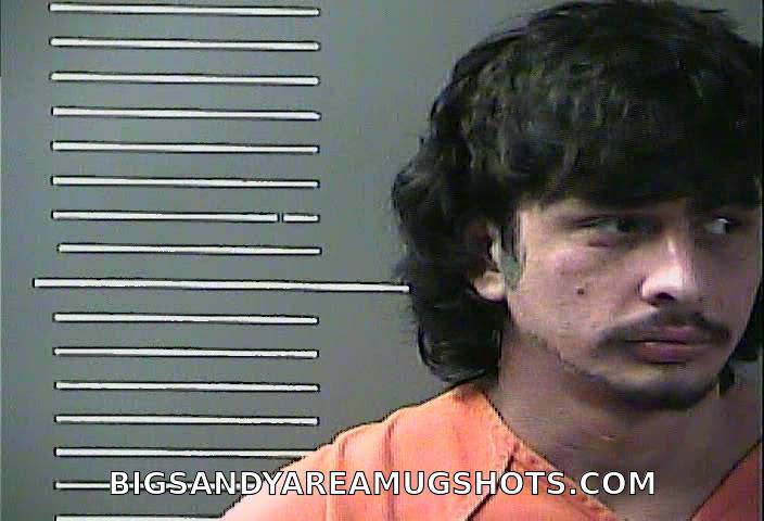 Booking photo