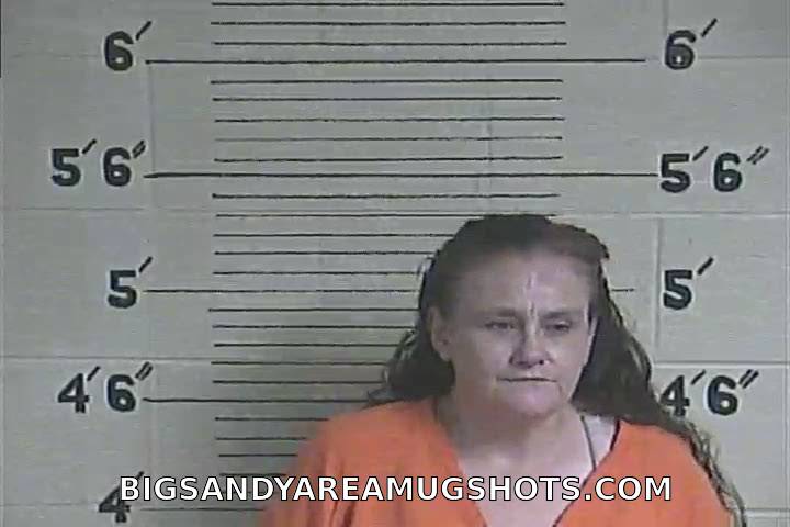 Booking photo