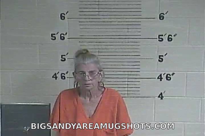 Booking photo