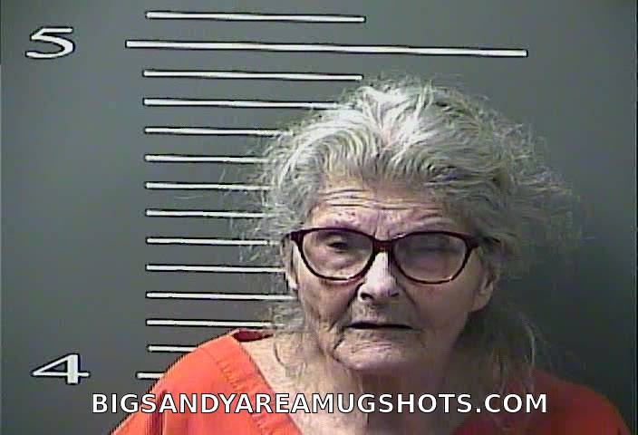 Booking photo