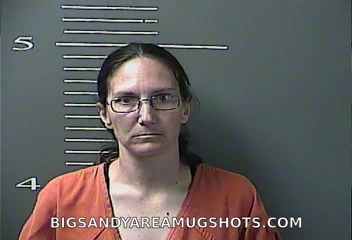 Booking photo