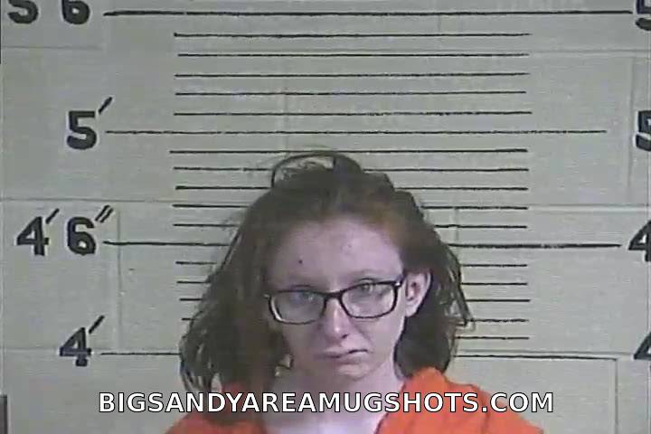 Booking photo