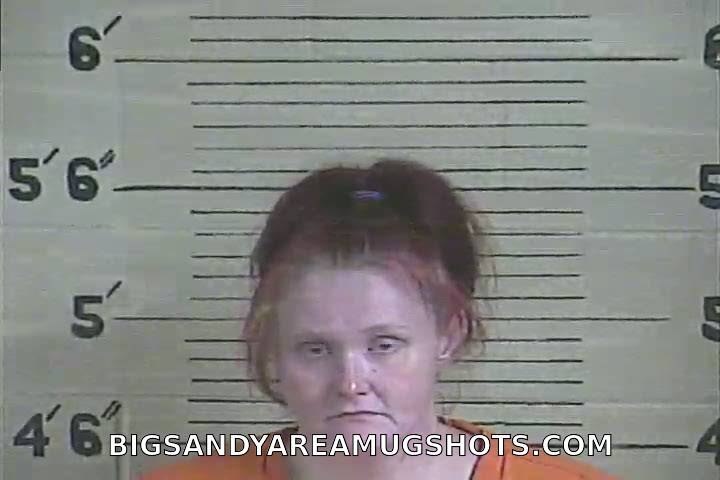 Booking photo