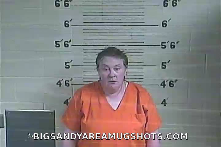 Booking photo