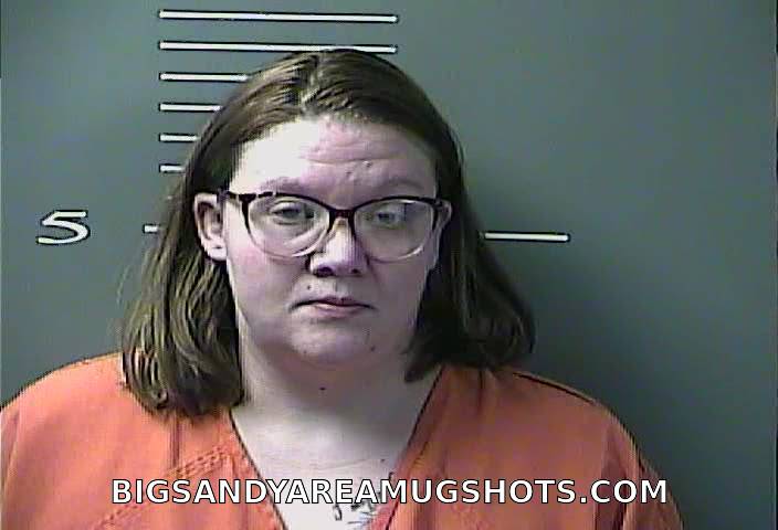 Booking photo